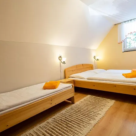 Salas Ostrazica 3* Nižná
